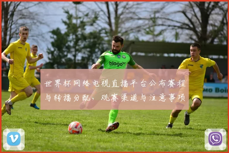 世界杯网络电视直播平台公布赛程与转播分配，观赛渠道与注意事项